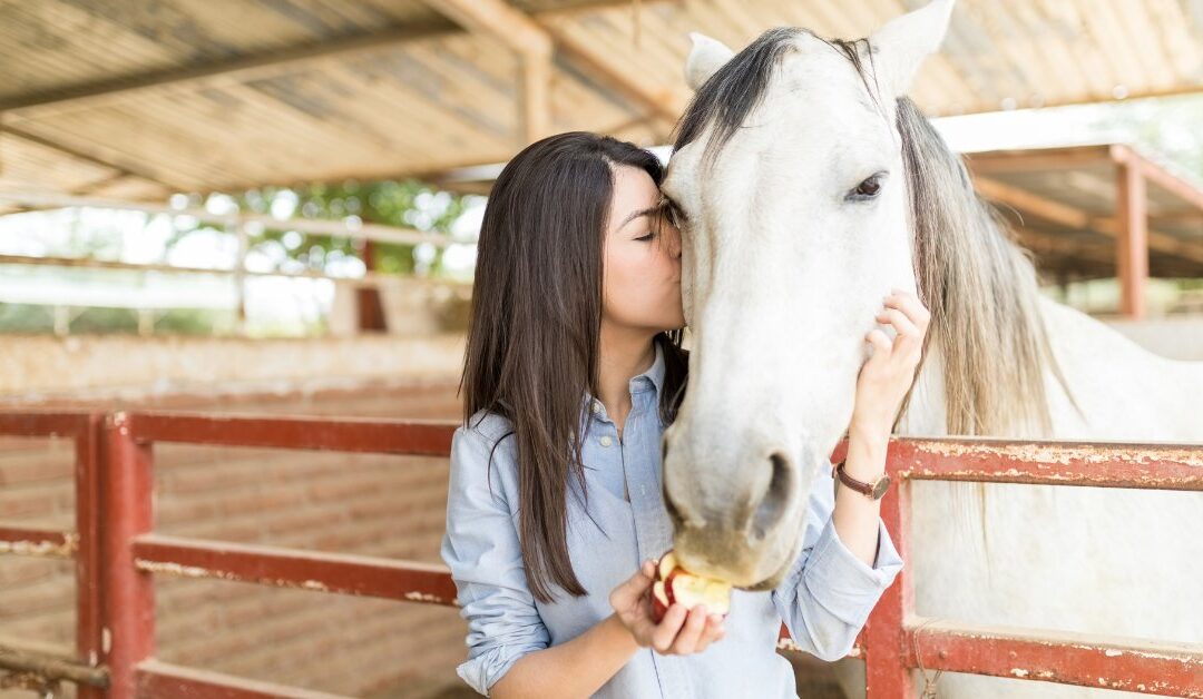 Equine Therapy for Effective Anxiety Treatment